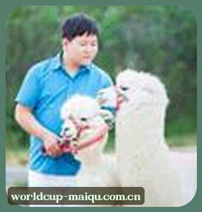 周涛