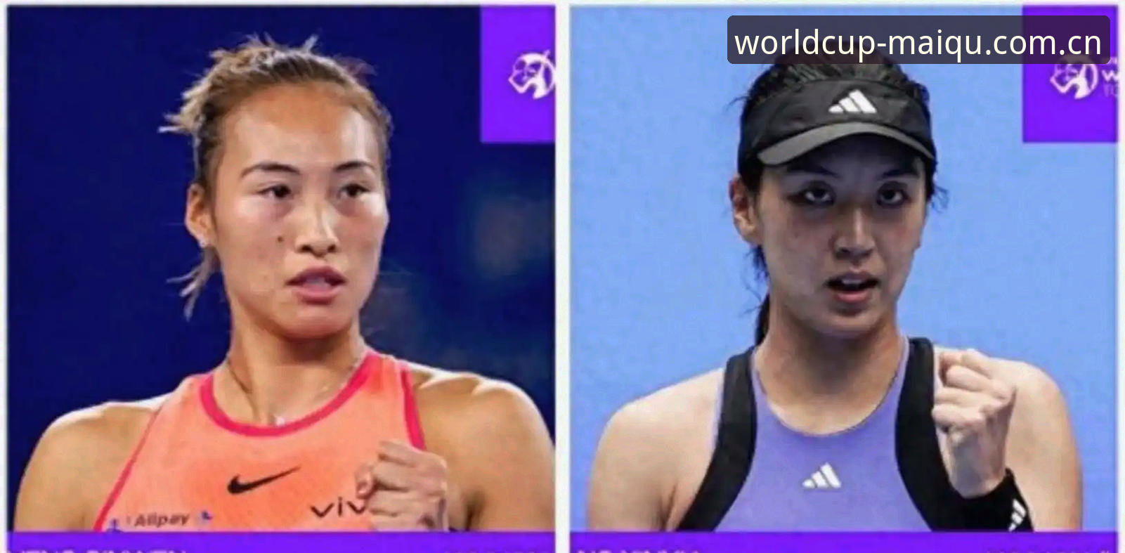 2026法网女单抽签揭晓！中国军团郑钦文保分压力大，王欣瑜成种子独苗